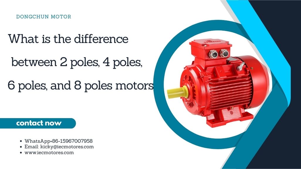 単球とは何ですか?
