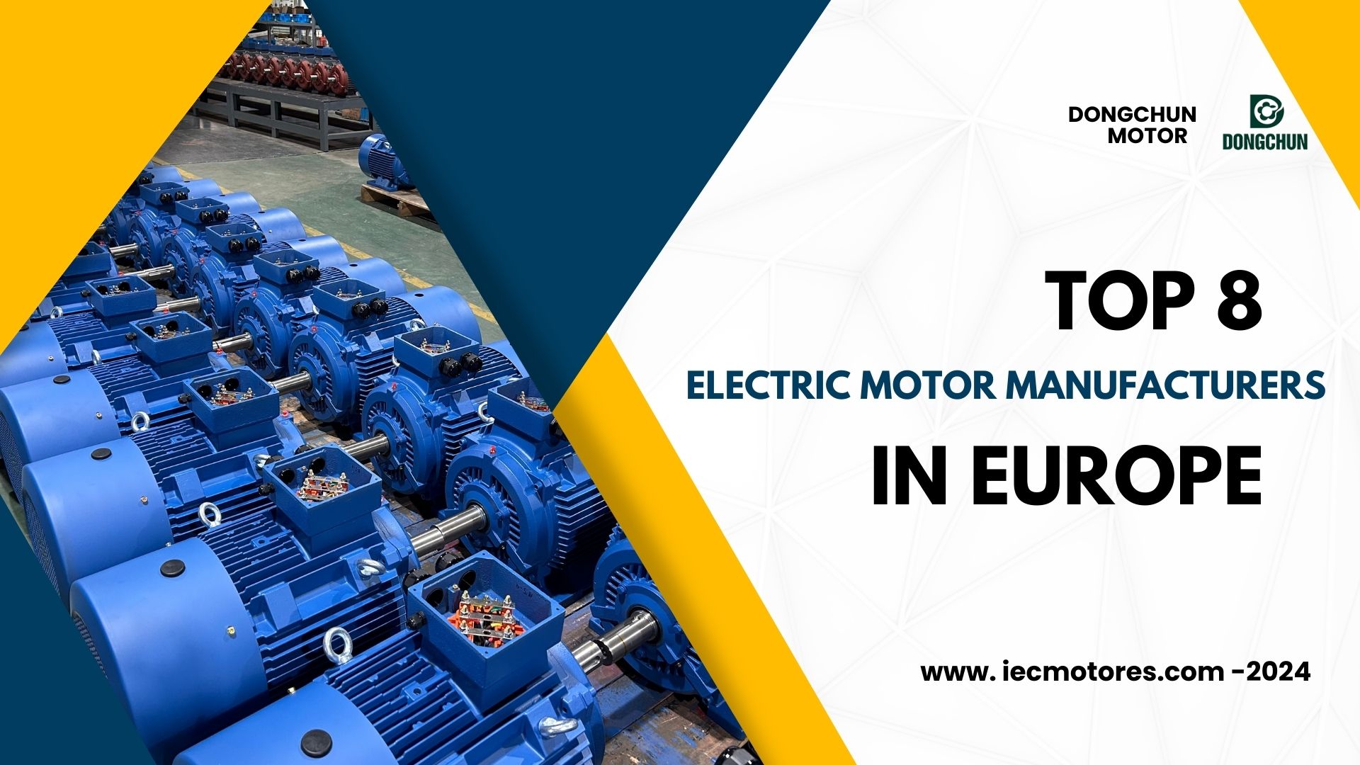 i primi 8 produttori di motori elettrici in Europa