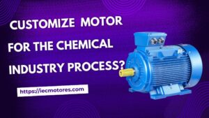 Customize Motor for the Chemical Industry Process