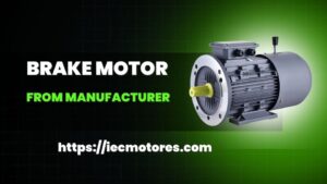 brake motor from manufacturer