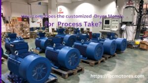 customized dryer motor -Dongchun