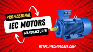 professional IEC Motor manufacturer (2)