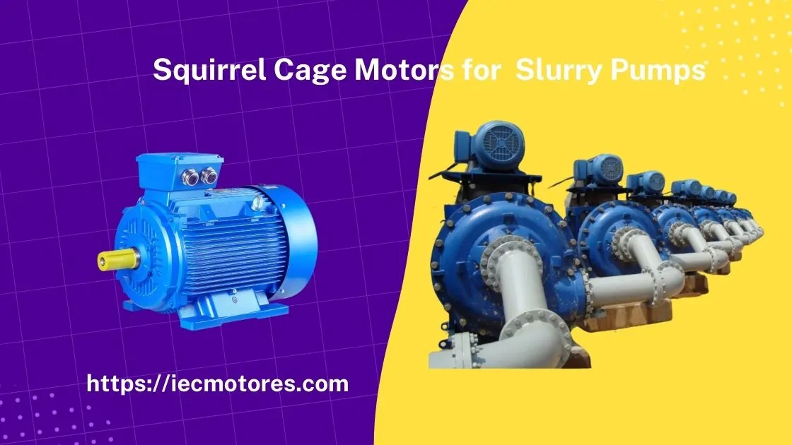 Slurry Pumps အတွက် Squirrel Cage Motors