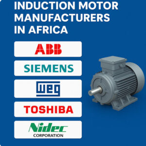 induction motor manufacturer