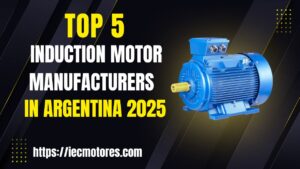 5 największych producentów silników indukcyjnych w Argentynie w roku 2025