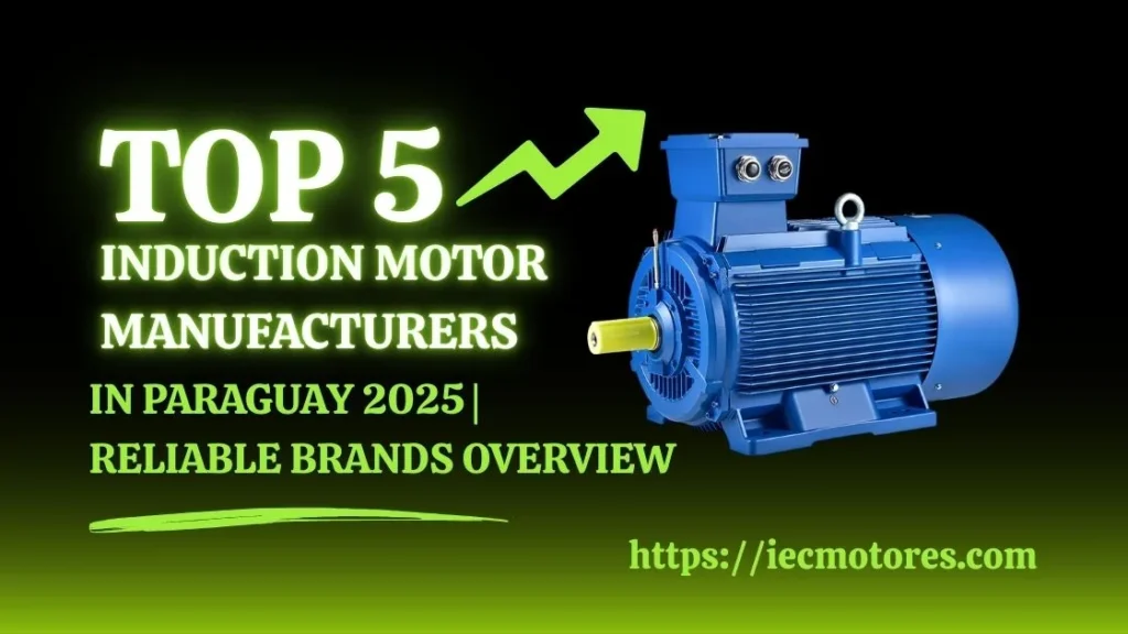 Grafis motor induksi biru dengan daftar teks 5 pabrikan teratas di Paraguay, 2025.