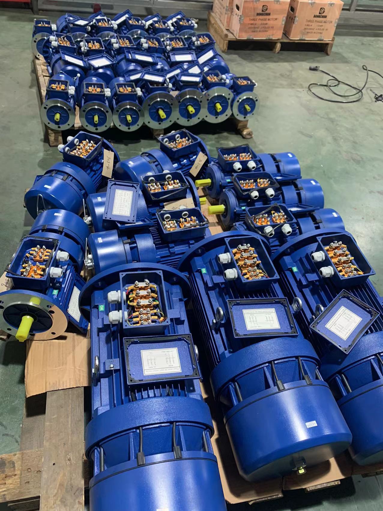 ቦታ ያዥTOR placeholder