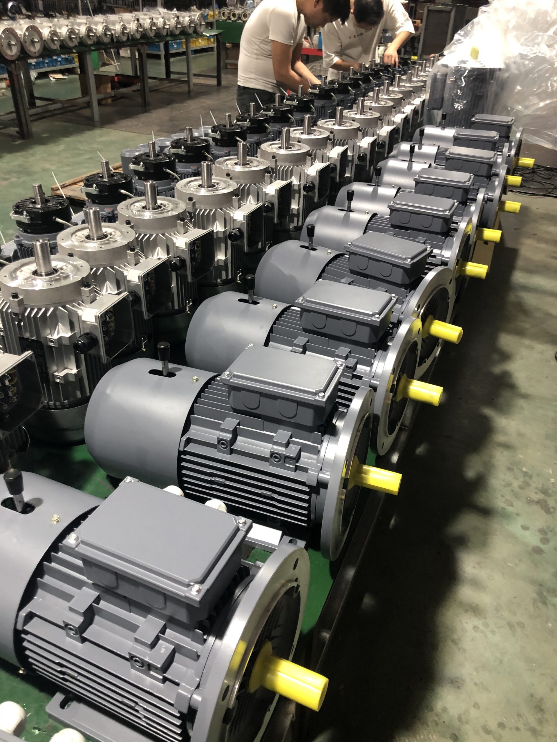 ቦታ ያዥOTOR placeholder