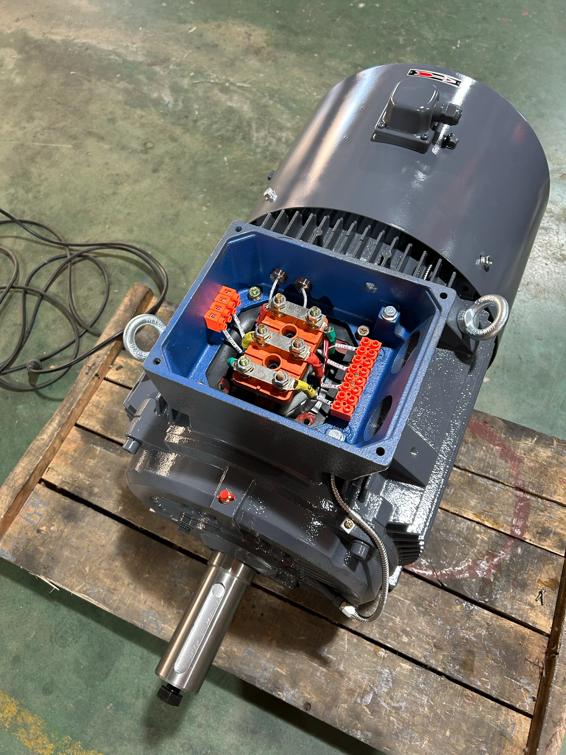 ቦታ ያዥ placeholder