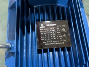 Primer plano de la placa de identificación de un motor eléctrico en un motor trifásico azul, que muestra especificaciones como voltaje, capacidad y fabricante Taizhou Dongchun Motor Co., Ltd.