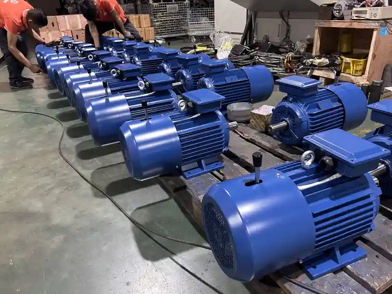 WEG South Africa brake motor procurement image