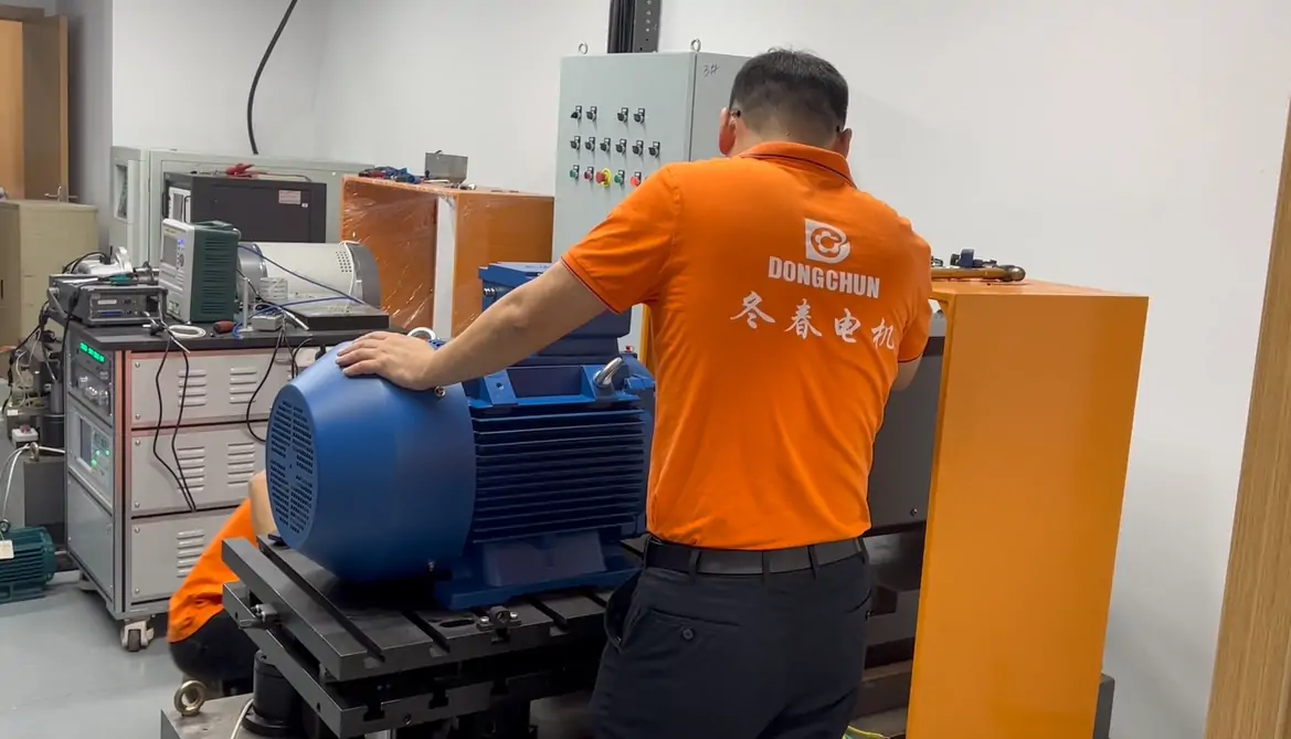 dongchun electric motor testing 