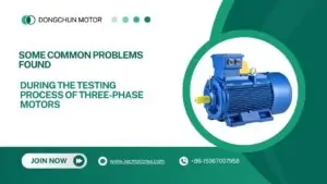 motores trifásicos del motor Dongchun