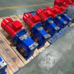 motor with worm gearbox