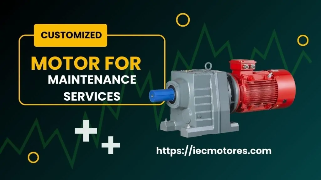 Customized Motor for Maintenance Services
