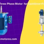 Three-Phase Motor for Cantilever Pumps