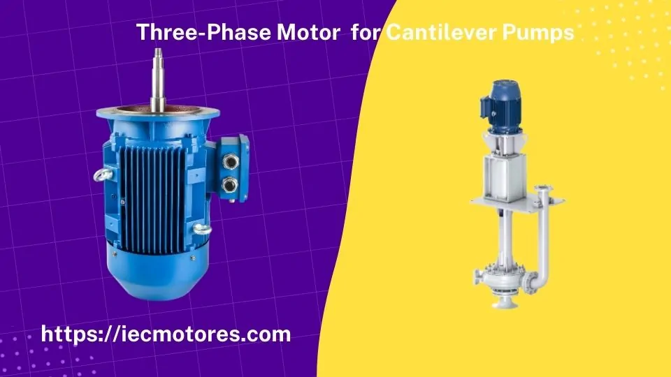 Moteur triphasé pour pompes en porte-à-faux
