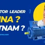 Who Leads in IEC Motor Production China or Vietnam