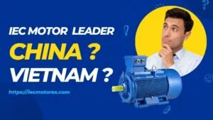 IEC Motor Production China သို့မဟုတ် ဗီယက်နမ်တွင် ဦးဆောင်နေသူ