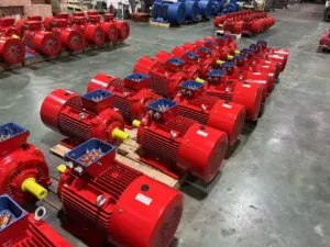 workhp-Dongchun မော်တာတွင် induction motor