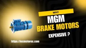 ¿Por qué los motores freno MGM son tan caros?