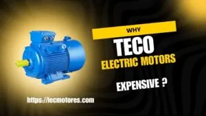 Por qué TECO Motores eléctricos tan caros
