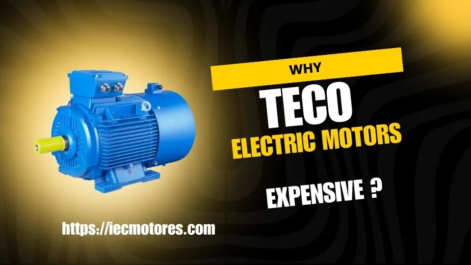 why TECO ELECTRIC Motors So Expensive