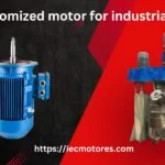 Customized motor for industrial mixer