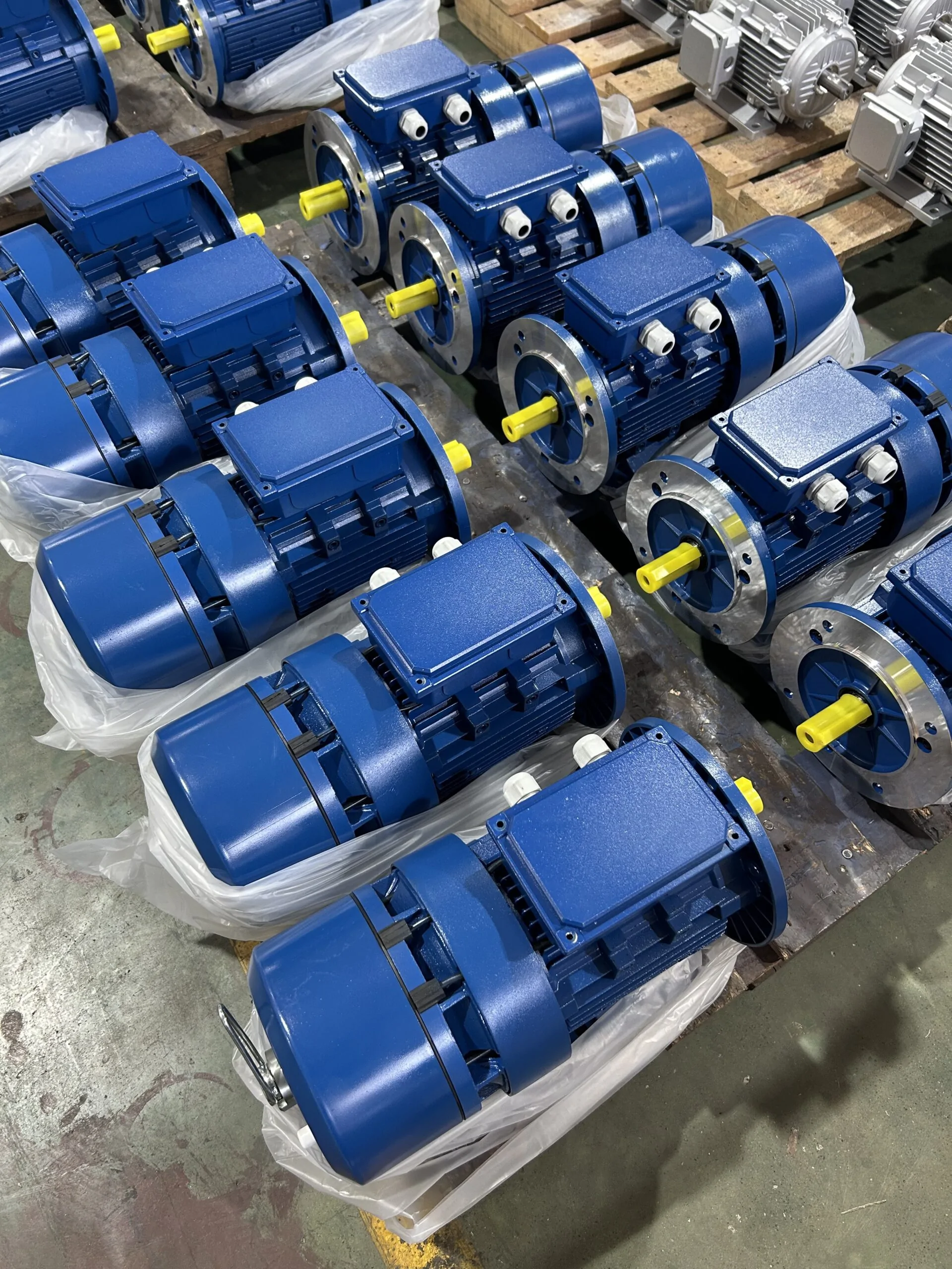 ตัวยึดตำแหน่งTOR placeholder